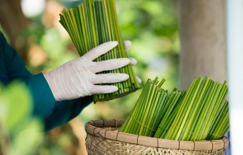 Grass straws